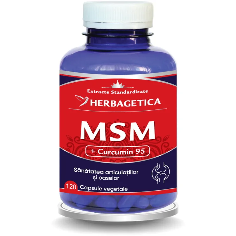 MSM + Curcumin 95 120cps HERBAGETICA — preț și oferte