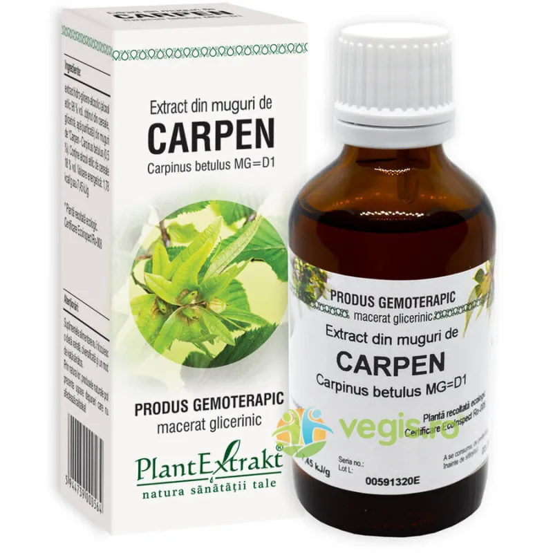 Extract din Muguri de Carpen 50ml PLANTEXTRAKT — preț și oferte