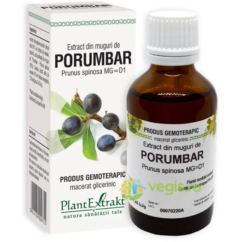 Extract din Muguri de Porumbar 50ml PLANTEXTRAKT — preț și oferte