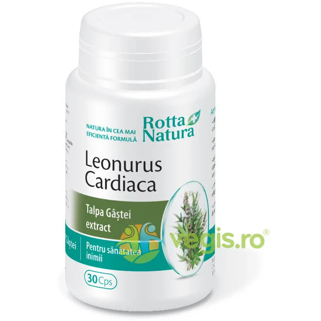 Talpa Gastei (Leonorus Cardiaca) 30cps ROTTA NATURA — preț și oferte