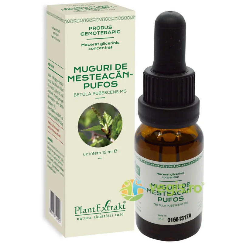 Concentrat din Muguri de Mesteacan Pufos 15ml PLANTEXTRAKT — preț și oferte