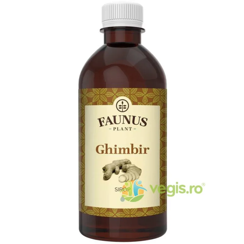 Sirop de Ghimbir 500ml FAUNUS PLANT — preț și oferte