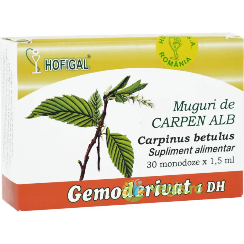 Muguri de Carpen Alb 30monodz HOFIGAL — preț și oferte