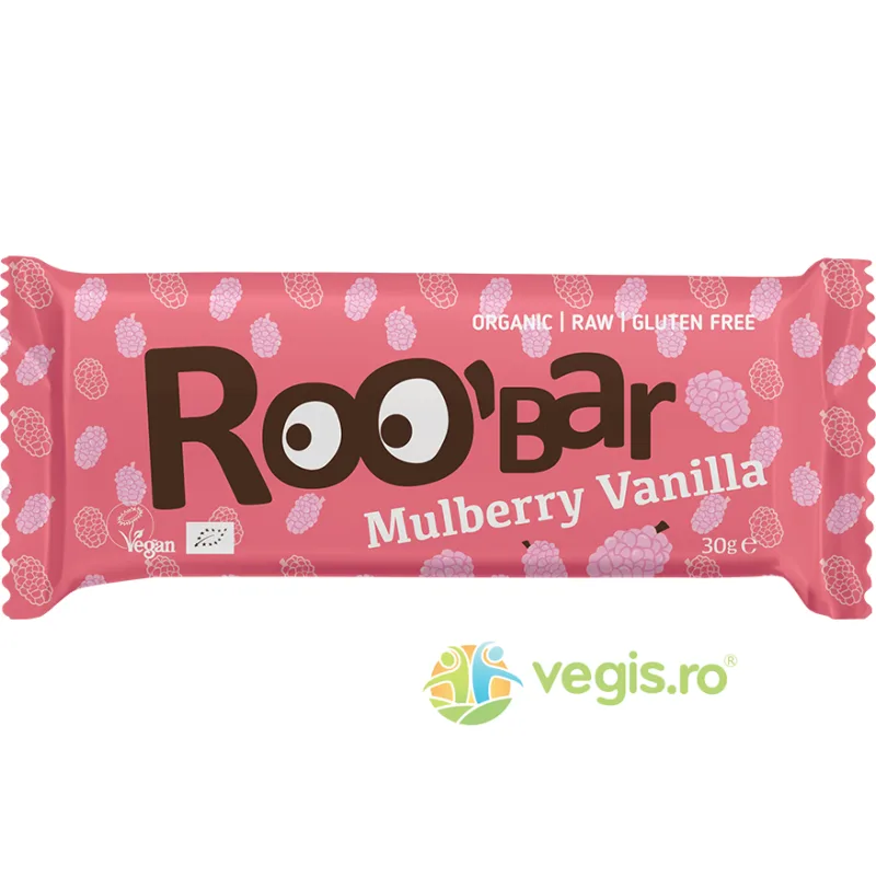 Baton cu Dude si Vanilie Raw Ecologic/Bio 30g ROOBAR — preț și oferte