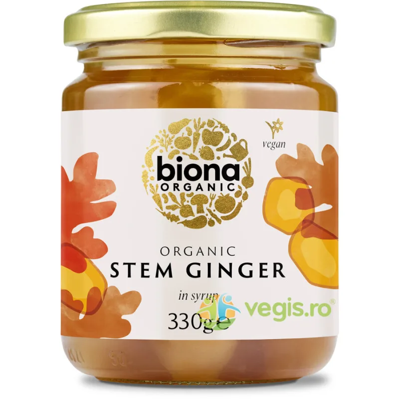 Muguri de Ghimbir in Sirop Ecologici/Bio 330g BIONA — preț și oferte