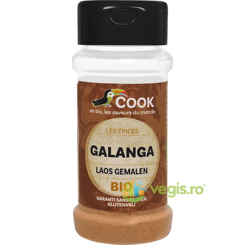 Pudra de Galangal fara Gluten (Solnita) Ecologica/Bio 25g COOK — preț și oferte