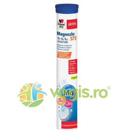 Magneziu 375mg + Vitaminele B1, B6, B12 + Acid Folic Aktiv 15cpr efervescente DOPPELHERZ — preț și oferte