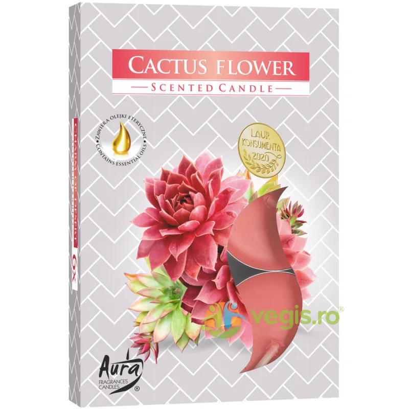 Set Lumanari Tip Pastila Floare de Cactus 6 buc. BISPOL — preț și oferte