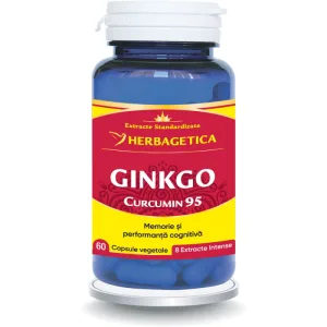 Ginkgo Curcumin 95 60cps
