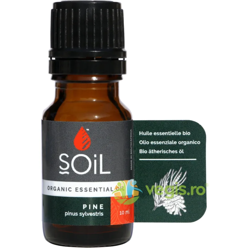 Ulei Esential de Pin Ecologic/Bio 10ml SOiL — preț și oferte