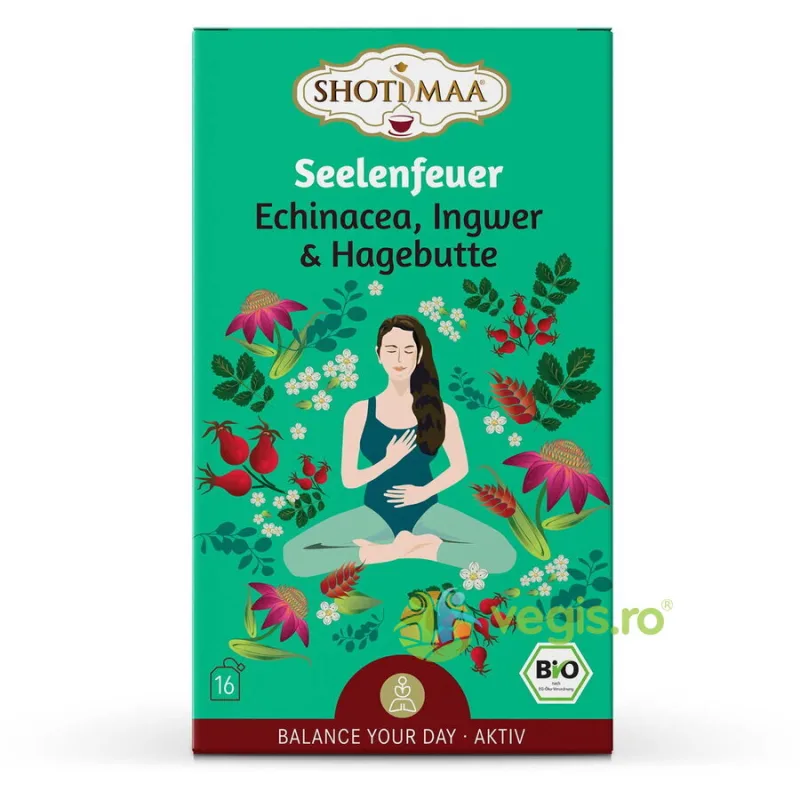 Ceai cu Echinacea, Ghimbir si Macese Valance Your Day-Lifespring Ecologic/Bio 16dz Shotimaa — preț și oferte