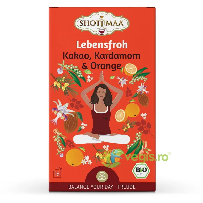 Ceai cu Cacao, Cardamom si Portocala Balance Your Day-Love for Life Ecologic/Bio 16dz Shotimaa — preț și oferte
