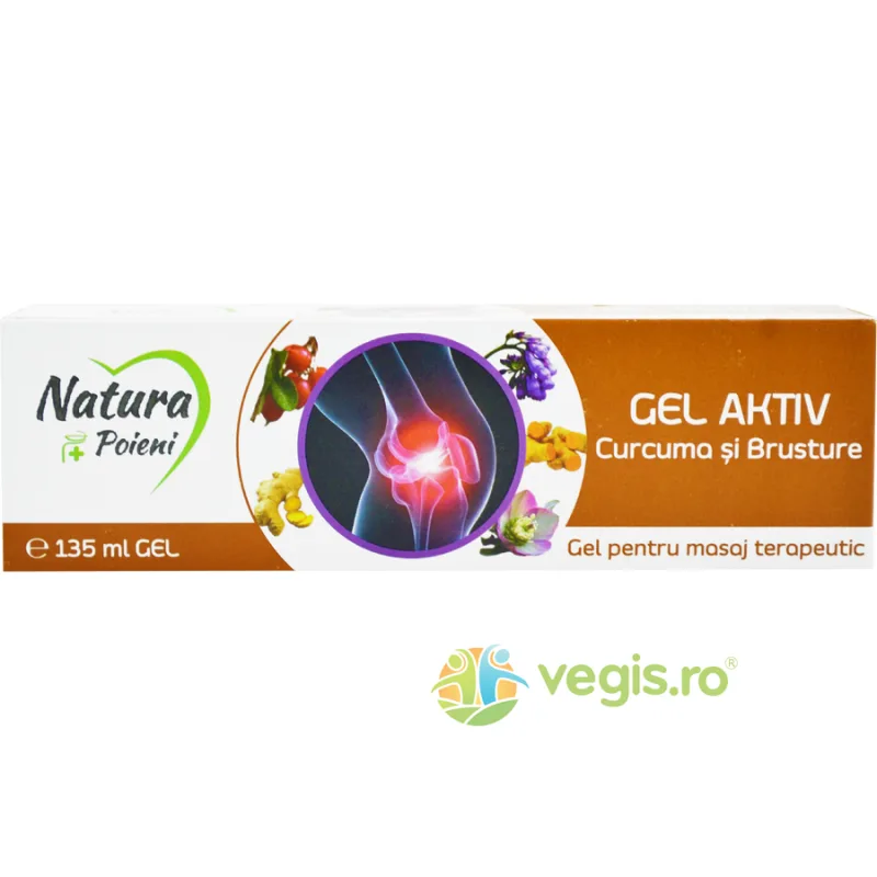 Gel Aktiv pentru Masaj Terapeutic cu Curcuma si Brusture 135ml NATURA PLANT IF — preț și oferte