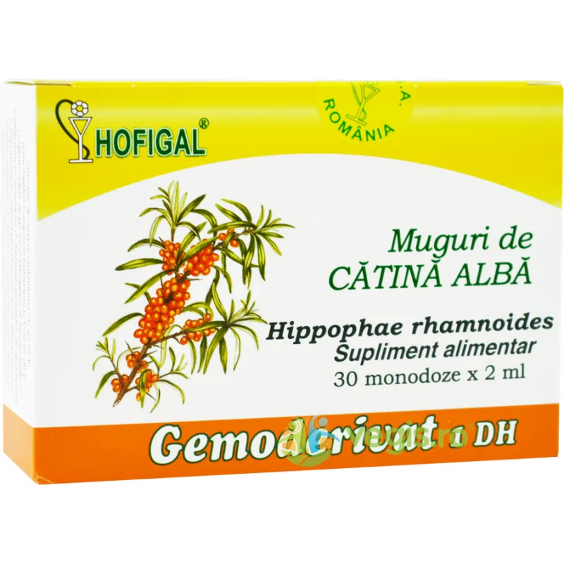 Muguri de Catina Alba 30monodz HOFIGAL — preț și oferte