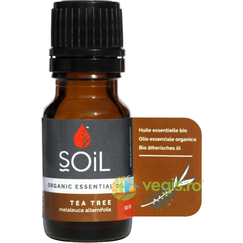 Ulei Esential de Tea Tree (Arbore de Ceai) Ecologic/Bio 10ml SOiL — preț și oferte