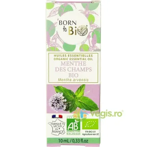 Ulei Esential de Menta de Camp Ecologic/Bio 10ml