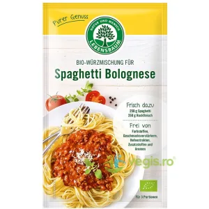 Condiment pentru Spaghetti Bolognese Ecologic/Bio 35g