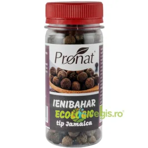 Ienibahar Boabe Tip Jamaica Ecologic/Bio 35g