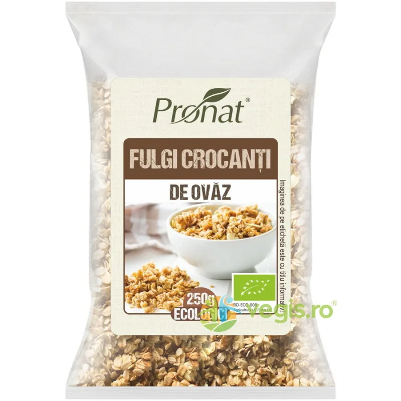 Fulgi Crocanti de Ovaz Ecologici/Bio 250g PRONAT — preț și oferte