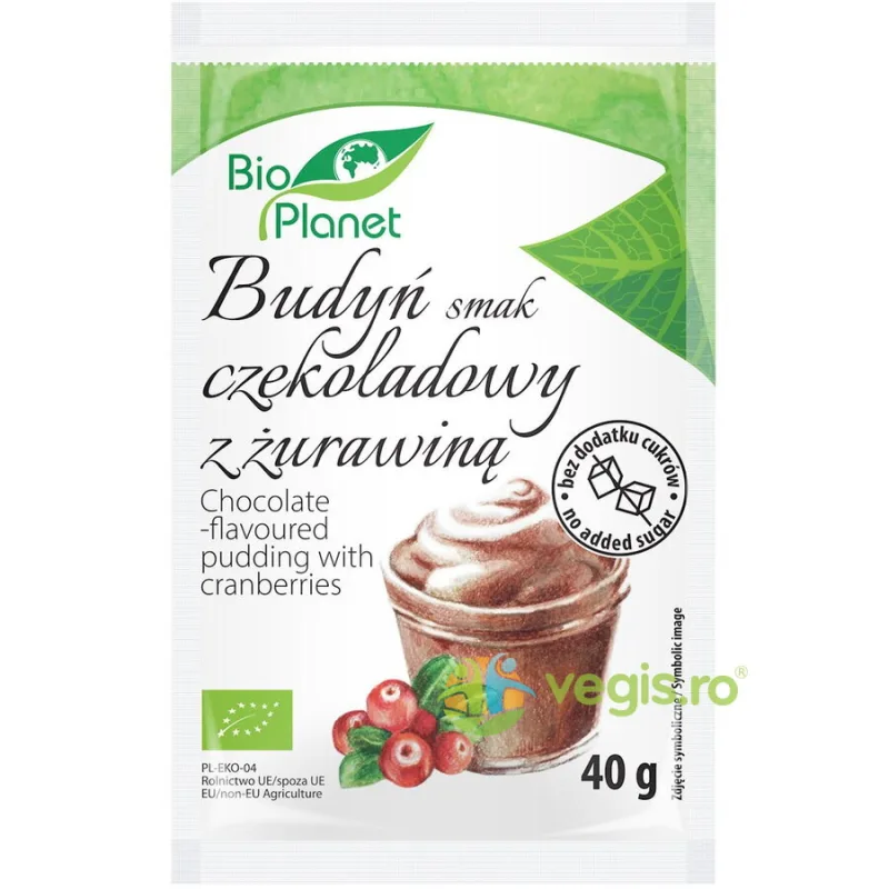 Budinca de Cacao cu Merisoare fara Zahar Adaugat Ecologica/Bio 40g Bio Planet — preț și oferte