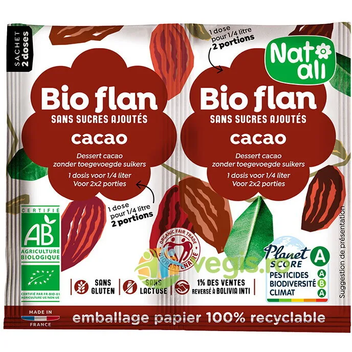 Budinca de Cacao fara Zahar Ecologica/Bio 2x5.5g NAT-ALI — preț și oferte