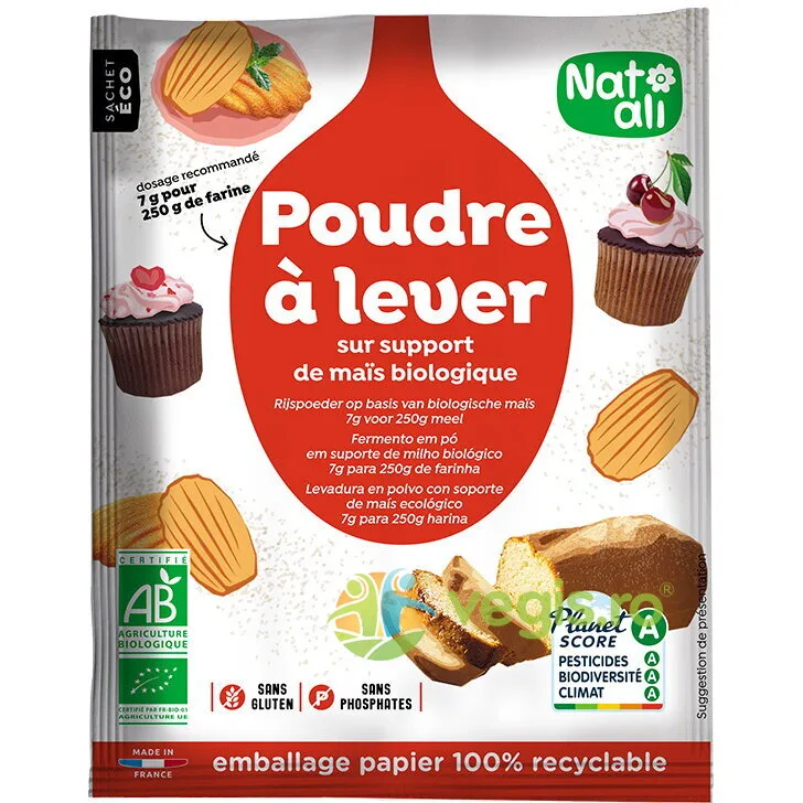 Praf de Copt fara Gluten Ecologic/Bio 50g NAT-ALI — preț și oferte