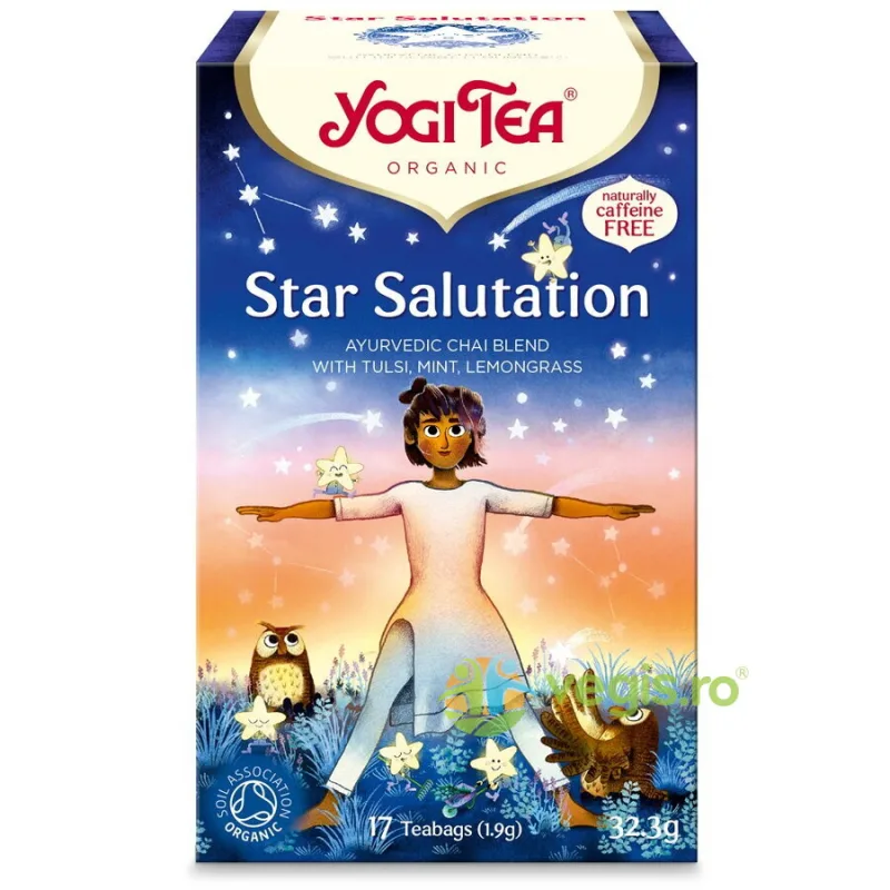 Ceai Star Salutation Ecologic/Bio 17 plicuri - 32.3g YOGI TEA — preț și oferte