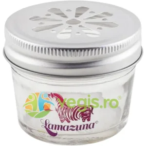 Recipient din Sticla pentru Cosmeticele Solide