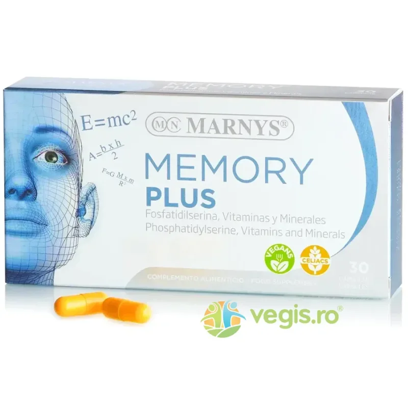 Memory Plus - Concentrare, Memorie, Multitasking 30cps MARNYS — preț și oferte