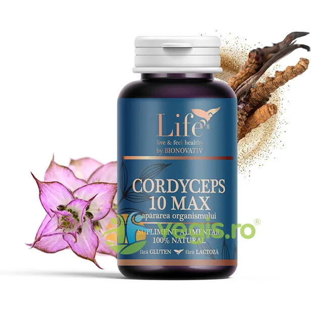 Cordyceps 10 Max 30cps BIONOVATIV — preț și oferte
