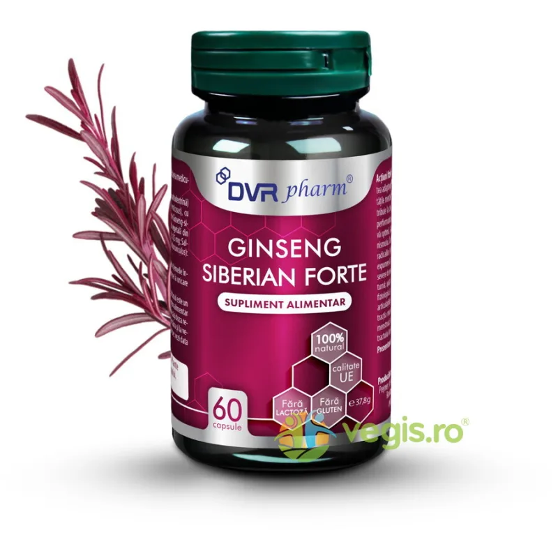 Ginseng Siberian Forte 60cps DVRPharm — preț și oferte