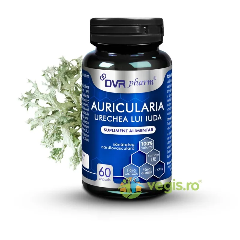 Auricularia (Urechea lui Iuda) 60cps DVRPharm — preț și oferte
