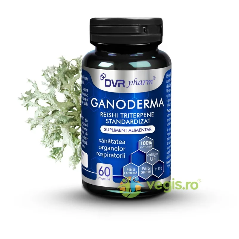 Ganoderma Reishi Triterpene Standardizat 60cps DVRPharm — preț și oferte