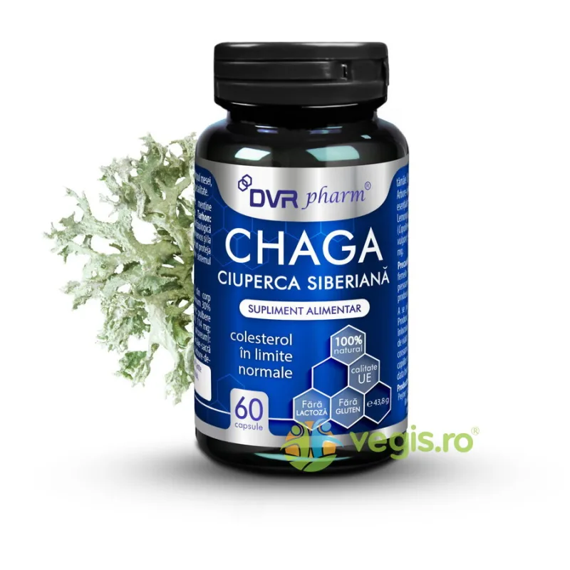 Chaga (Ciuperca Siberiana) 60cps DVRPharm — preț și oferte