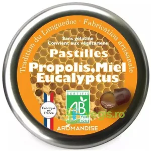 Bomboane Artizanale cu Propolis, Miere si Eucalipt Ecologice/Bio 45g