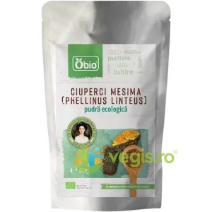 Pudra de Ciuperci Mesima (Phellinus Linteus) Ecologica/Bio 60g