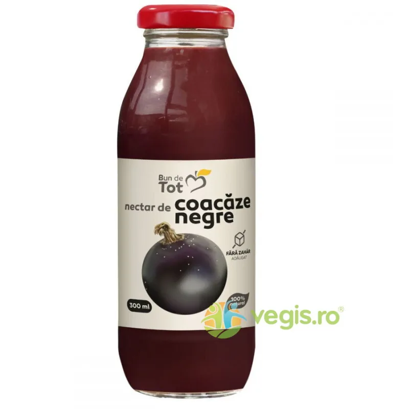 Nectar de Coacaze Negre fara Zahar Adaugat 300ml BUN DE TOT — preț și oferte