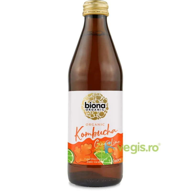 Kombucha cu Ghimbir si Lime Ecologica/Bio 330ml BIONA — preț și oferte