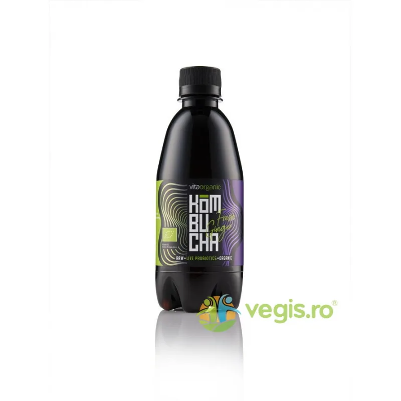 Kombucha cu Ghimbir Raw Ecologica/Bio 330ml VITA ORGANIC — preț și oferte