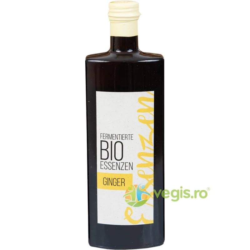 Esenta de Ghimbir Fermentata Ecologic/Bio 500ml RETTER — preț și oferte