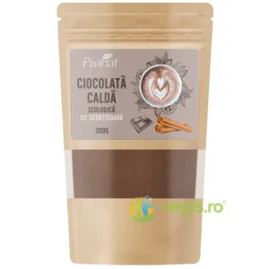 Ciocolata Calda cu Scortisoara Ecologica/Bio 300g