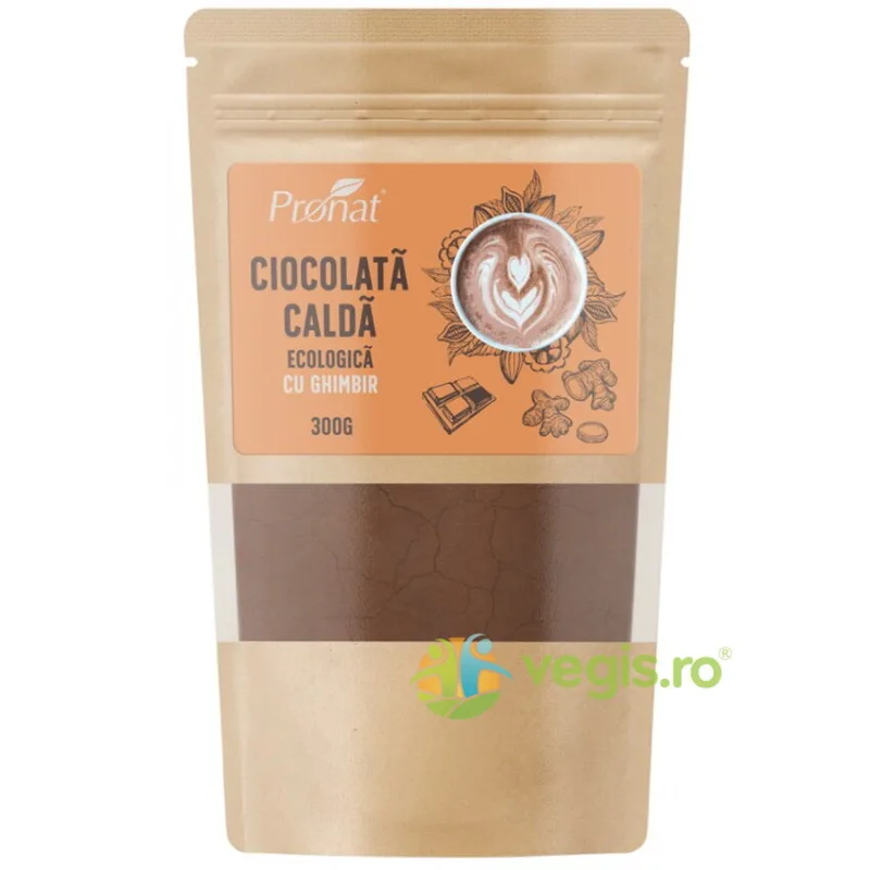 Ciocolata Calda cu Ghimbir Ecologica/Bio 300g PRONAT — preț și oferte