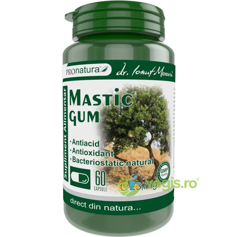 Mastic Gum 60cps Medica - Pro Natura — preț și oferte