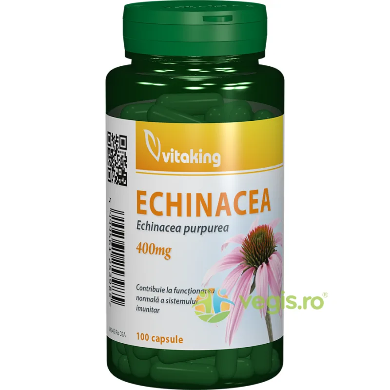 Extract de Echinacea 250mg 90cps VITAKING — preț și oferte