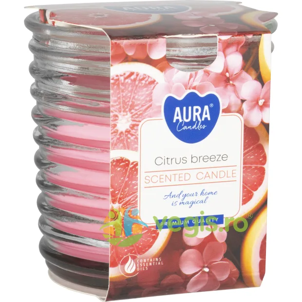 Lumanare Parfumata in Pahar Spirala Citrus Breeze BISPOL — preț și oferte