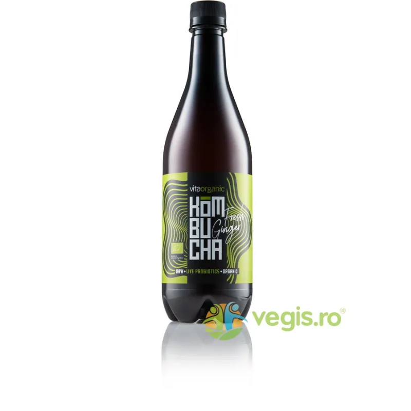 Kombucha cu Ghimbir Ecologica/Bio 750ml VITA ORGANIC — preț și oferte