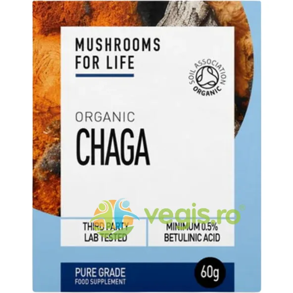Organic Chaga 1000mg Pure Grade Extract Powder Ecologic/Bio 60g MUSHROOMSFORLIFE — preț și oferte