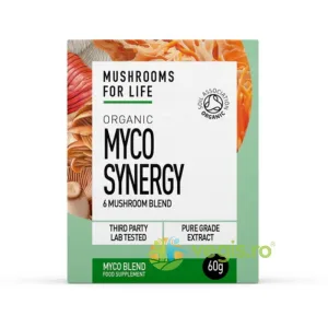 Pulbere Myco Synergy 6 Ciuperci 1000mg Pure Grade Extracts Ecologica/Bio 60g