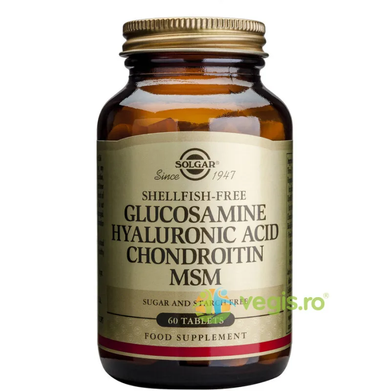 Glucosamine Hyaluronic Acid Chondroitin MSM 60tb (Glucozamina, acid hialuronic, condroitina si MSM) SOLGAR — preț și oferte