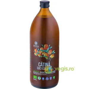 Suc de Catina Ecologic/Bio 1L